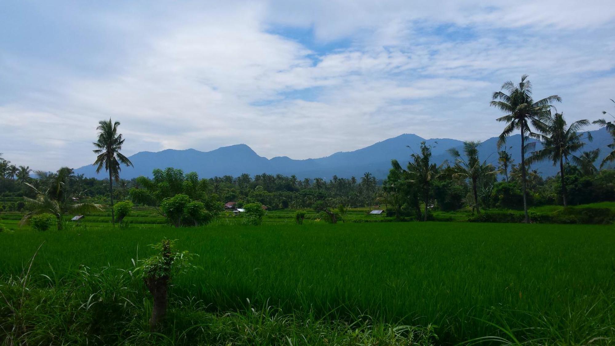 Pondok Manis Singaraja Exterior foto